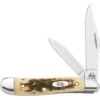 Case 045 Peanut Folding Pocket Knife With Amber Bone Handle