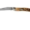 Case Small Texas Toothpick Genuine Stag 05532, 510096 SS Pocket Knife