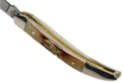 Case Small Texas Toothpick Genuine Stag 05532, 510096 SS Pocket Knife -Case Knives Sales CE05532 05 case 1