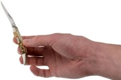 Case Small Texas Toothpick Genuine Stag 05532, 510096 SS Pocket Knife -Case Knives Sales CE05532 07 case 1