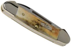 Case Baby Butterbean Genuine Stag 05537, 52132W SS Pocket Knife -Case Knives Sales CE05537 04 case