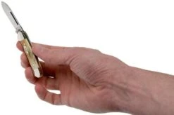 Case Baby Butterbean Genuine Stag 05537, 52132W SS Pocket Knife -Case Knives Sales CE05537 05 case