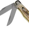 Case Pocket Hunter Genuine Stag, 5621, 52165 SS Pocket Knife