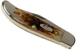 Case Pocket Hunter Amber Jigged Bone, 10727, 61165 SS Pocket Knife 9 Case Pocket Hunter Amber Jigged Bone, 10727, 61165 SS Pocket Knife -Case Knives Sales CE10727 04 case