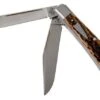Case HT Trapper, Brown Bone, 154CM, Peach Seed Jig, 10774, TB622021 Pocket Knife, Tony Bose Design