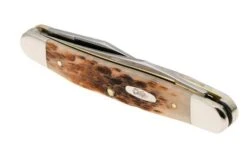 Case Muskrat Amber Bone, Peach Seed Jig, 10798, MUSKRAT SS Pocket Knife -Case Knives Sales CE10798 05 case