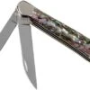 Case Copperhead Abalone, 12023, 8249W SS Pocket Knife, Gift Box