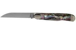 Case Copperhead Abalone, 12023, 8249W SS Pocket Knife, Gift Box -Case Knives Sales CE12023 03 case