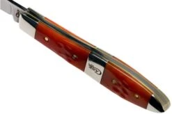 Case TB61028 SS Tequila Sunrise Bone Tear Drop -Case Knives Sales CE14481 06 case
