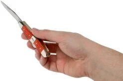 Case 6318 SS Tequila Sunrise Medium Stockman -Case Knives Sales CE14483 05 case