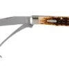 Case Equestrian Amber Jigged Bone, 00144, 6254HP SS Pocket Knife