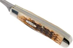 Case Equestrian Amber Jigged Bone, 00144, 6254HP SS Pocket Knife -Case Knives Sales CE144 08 case ce144 08
