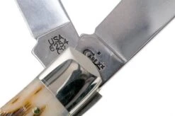 Case Trapper Amber Jigged Bone, 00163, 6254 CV Pocket Knife -Case Knives Sales CE163 06 case ce163 06 1