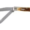 Case Trapper Amber Jigged Bone, 00164, 6254 SS Pocket Knife