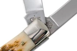 Case Trapper Amber Jigged Bone, 00164, 6254 SS Pocket Knife -Case Knives Sales CE164 06 case ce164 06