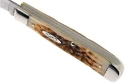 Case Trapper Amber Jigged Bone, 00164, 6254 SS Pocket Knife -Case Knives Sales CE164 08 case ce164 08 1