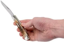 Case Trapper Amber Jigged Bone, 00164, 6254 SS Pocket Knife -Case Knives Sales CE164 09 case ce164 09