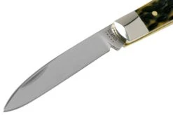 Case Tear Drop, Tang Stamp Series, Peach Seed Jig, Olive Green Bone 21510, TB61028 SS Pocket Knife -Case Knives Sales CE21510 03 case