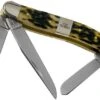 Case Medium Stockman, Tang Stamp Series, Peach Seed Jig, Olive Green Bone 21512, 6318 SS Pocket Knife