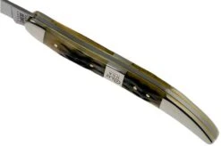 Case Medium Texas Toothpick, Tang Stamp Series, Peach Seed Jig, Olive Green Bone 21515, 610094 SS Pocket Knife -Case Knives Sales CE21515 06 case