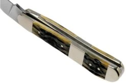 Case Russlock, Tang Stamp Series, Peach Seed Jig, Olive Green Bone 21517, 61953L SS Pocket Knife -Case Knives Sales CE21517 05 case