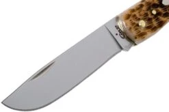 Case Sod Buster Jr Amber Jigged Bone, 00245, 6137 SS Pocket Knife -Case Knives Sales CE245 03 case ce245 03 1