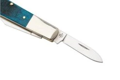 Case Barlow Caribbean Blue Bone, Sawcut Jig, 25581, 62009 1/2 SS Pocket Knife -Case Knives Sales CE25581 04 case