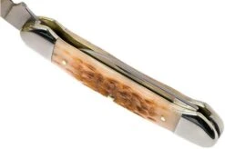 Case Canoe Amber Jigged Bone, 00263, 62131 CV Pocket Knife -Case Knives Sales CE263 08 case ce263 08