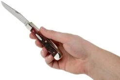 Case Trapper Crimson Red Peach Seed Jigged Bone, 27380, 6254 SS Pocket Knife -Case Knives Sales CE27380 05 case 1