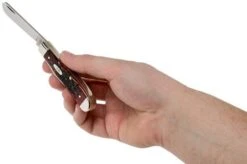 Case Mini Trapper Crimson Red Peach Seed Jigged Bone, 27381, 6207 SS Pocket Knife -Case Knives Sales CE27381 05 case