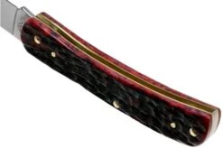 Case Sod Buster Jr Crimson Red Peach Seed Jigged Bone, 27383, 6137 SS Pocket Knife -Case Knives Sales CE27383 05 case