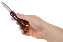 Case Sod Buster Jr Crimson Red Peach Seed Jigged Bone, 27383, 6137 SS Pocket Knife -Case Knives Sales CE27383 07 case