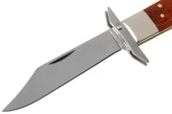 Case Cheetah Smooth Chestnut Bone, 28909, 6111 1/2L SS Pocket Knife -Case Knives Sales CE28909 03 case 1