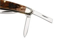 Case Seahorse Whittler Amber Bone, Peach Seed Jig, 30094, 6355WH CS Pocket Knife -Case Knives Sales CE30094 04 case