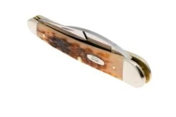 Case Seahorse Whittler Amber Bone, Peach Seed Jig, 30094, 6355WH CS Pocket Knife -Case Knives Sales CE30094 05 case