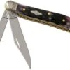 Case Peanut Purple Bone, Standard Jig, 31623, 6220 SS Pocket Knife