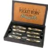 Case 25th Anniversary Mint Set, Pocket Worn Olive Green Bone, Peach Seed Jig, 38190, SS Pocket Knife
