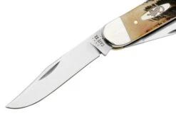Case Sowbelly 65313 Case 6.5 BoneStag TB6.5339 SS Pocket Knife, Tony Bose Design -Case Knives Sales CE65313 03 case