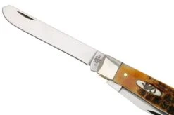 Case Trapper 6.5 BoneStag, 65345, 6.5254C SS Pocket Knife -Case Knives Sales CE65345 04 case