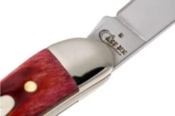 Case Small Texas Toothpick Pocket Worn Old Red Bone, 610096 SS Pocket Knife 12 Case Small Texas Toothpick Pocket Worn Old Red Bone, 610096 SS Pocket Knife -Case Knives Sales CE792 05 case ce792 05 1