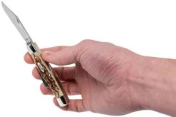 Case Stockman Amber Jigged Bone, 00079, 63032 CV Pocket Knife -Case Knives Sales CE79 11 case ce79 11 1