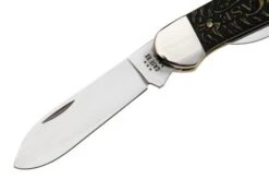 Case Canoe 81802 Golden Pinecone Embellished Natural Bone 62131 SS Pocket Knife 7 Case Canoe 81802 Golden Pinecone Embellished Natural Bone 62131 SS Pocket Knife -Case Knives Sales CE81802 03 case